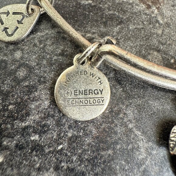 Alex and Ani Apple Charm Bracelet Silver Nature Expandable Bangle - Picture 9 of 14